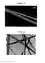 Fig. 03 - Process for the synthesis of nanotubes and fullerene-like nanostructures of transition metal dichalcogenides, quasi one-dimensional structures of transition metals and oxides of transition metals