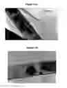 Fig. 04 - Process for the synthesis of nanotubes and fullerene-like nanostructures of transition metal dichalcogenides, quasi one-dimensional structures of transition metals and oxides of transition metals