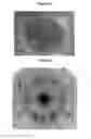 Fig. 05 - Process for the synthesis of nanotubes and fullerene-like nanostructures of transition metal dichalcogenides, quasi one-dimensional structures of transition metals and oxides of transition metals