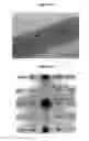 Fig. 08 - Process for the synthesis of nanotubes and fullerene-like nanostructures of transition metal dichalcogenides, quasi one-dimensional structures of transition metals and oxides of transition metals