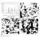 Fig. 04 - Methods of controlling the morphology of perovskite submicron-sized particles