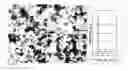 Fig. 05 - Methods of controlling the morphology of perovskite submicron-sized particles