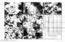 Fig. 07 - Methods of controlling the morphology of perovskite submicron-sized particles