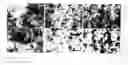 Fig. 09 - Methods of controlling the morphology of perovskite submicron-sized particles