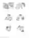 Fig. 09 - COMPOSITIONS AND METHODS FOR THE DETECTION OF VULNERABLE PLAQUE