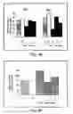 Fig. 06 - METHODS AND PHARMACEUTICAL COMPOSITIONS FOR HEALING WOUNDS