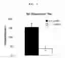 Fig. 05 - METHOD FOR DECREASING DEPRESSION BY INHIBITING THE ACTIVITY OF ALPHA 1B SUBUNIT OF N-TYPE CALCIUM CHANNEL