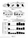 Fig. 02 - Compositions and methods for altering pancreas or liver function