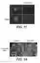 Fig. 04 - COMPOSITIONS AND METHODS FOR MODULATING VASCULAR DEVELOPMENT