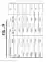 Fig. 24 - Antibodies to IL-6 and use thereof