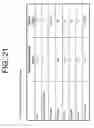 Fig. 26 - Antibodies to IL-6 and use thereof