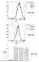 Fig. 08 - IMMUNOSUPPRESSION WITH ANTIBODY AGAINST ITM2A