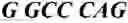 Fig. 02 - Human beta-glucuronidase mutants with elevated enzymatic activity under physiological conditions and method for identifying such