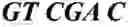 Fig. 04 - Human beta-glucuronidase mutants with elevated enzymatic activity under physiological conditions and method for identifying such