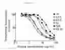 Fig. 06 - Human beta-glucuronidase mutants with elevated enzymatic activity under physiological conditions and method for identifying such