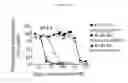 Fig. 12 - Human beta-glucuronidase mutants with elevated enzymatic activity under physiological conditions and method for identifying such