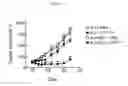 Fig. 13 - Human beta-glucuronidase mutants with elevated enzymatic activity under physiological conditions and method for identifying such