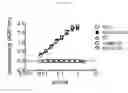 Fig. 16 - Human beta-glucuronidase mutants with elevated enzymatic activity under physiological conditions and method for identifying such