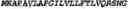 Fig. 02 - c-Met antibodies