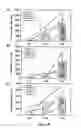 Fig. 07 - Method for genetic immunization by electrotransfer against a toxin and antiserum obtainable by said method