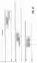 Fig. 02 - Polynucleotide encoding an anti-FGF19 antibody