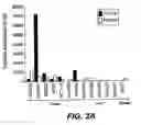 Fig. 07 - Polynucleotide encoding an anti-FGF19 antibody