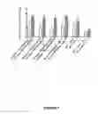 Fig. 08 - IMMUNOGENIC MOLECULES