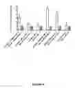 Fig. 09 - IMMUNOGENIC MOLECULES