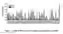 Fig. 02 - Immunogenic compositions comprising polypeptides and fusions thereof