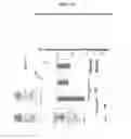 Fig. 09 - RECOMBINANT VIRAL VACCINE