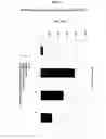 Fig. 13 - RECOMBINANT VIRAL VACCINE