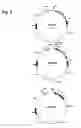 Fig. 06 - HOLIN-ENHANCED VACCINES AND REAGENTS, AND METHODS OF USE THEREOF