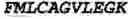 Fig. 05 - Prostate kallikrein allergen