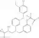 Fig. 02 - Nanoparticles comprising a cholesteryl ester transfer protein inhibitor and anon-ionizable polymer