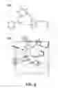 Fig. 07 - Method for preparing hydro/organo gelators from disaccharide sugars by biocatalysis and their use in enzyme-triggered drug delivery