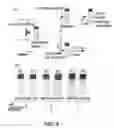 Fig. 09 - Method for preparing hydro/organo gelators from disaccharide sugars by biocatalysis and their use in enzyme-triggered drug delivery