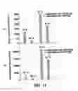 Fig. 12 - Method for preparing hydro/organo gelators from disaccharide sugars by biocatalysis and their use in enzyme-triggered drug delivery