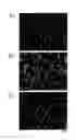 Fig. 02 - SUSTAINED-RELEASE NANOPARTICLE CONTAINING LOW-MOLECULAR-WEIGHT DRUG WITH NEGATIVELY CHARGED GROUP