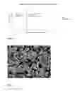 Fig. 02 - Process for dispersing amino acids