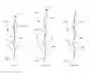 Fig. 19 - Sheet having removable labels