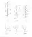Fig. 20 - Sheet having removable labels