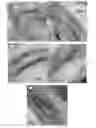 Fig. 01 - Polymer organoclay composites