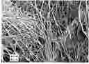 Fig. 01 - POLISHING CLOTH AND PRODUCTION METHOD THEREOF