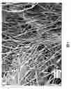 Fig. 02 - POLISHING CLOTH AND PRODUCTION METHOD THEREOF
