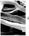 Fig. 03 - POLISHING CLOTH AND PRODUCTION METHOD THEREOF