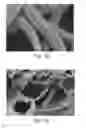 Fig. 06 - MICROTUBES AND METHODS OF PRODUCING SAME