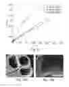 Fig. 10 - MICROTUBES AND METHODS OF PRODUCING SAME