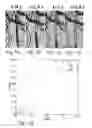 Fig. 11 - MICROTUBES AND METHODS OF PRODUCING SAME