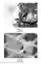 Fig. 04 - SURFACING FILM FOR COMPOSITE STRUCTURES