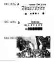 Fig. 06 - cDNA Encoding a Gene Bog (B5T Over-Expressed Gene) and its Protein Product
